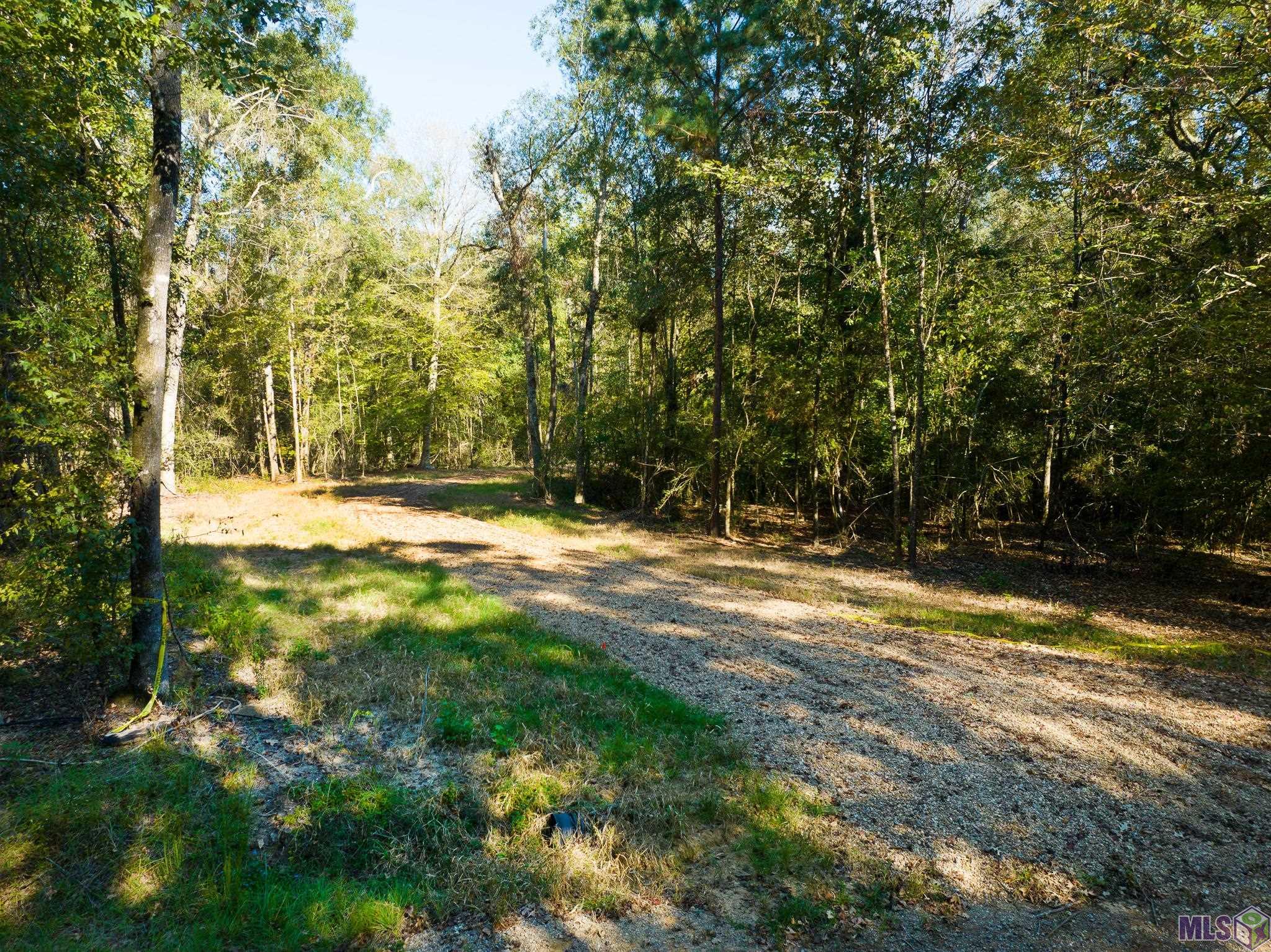 7326 Stirling Rd Street St. Francisville, LA 70775 - Photo 14 of 17