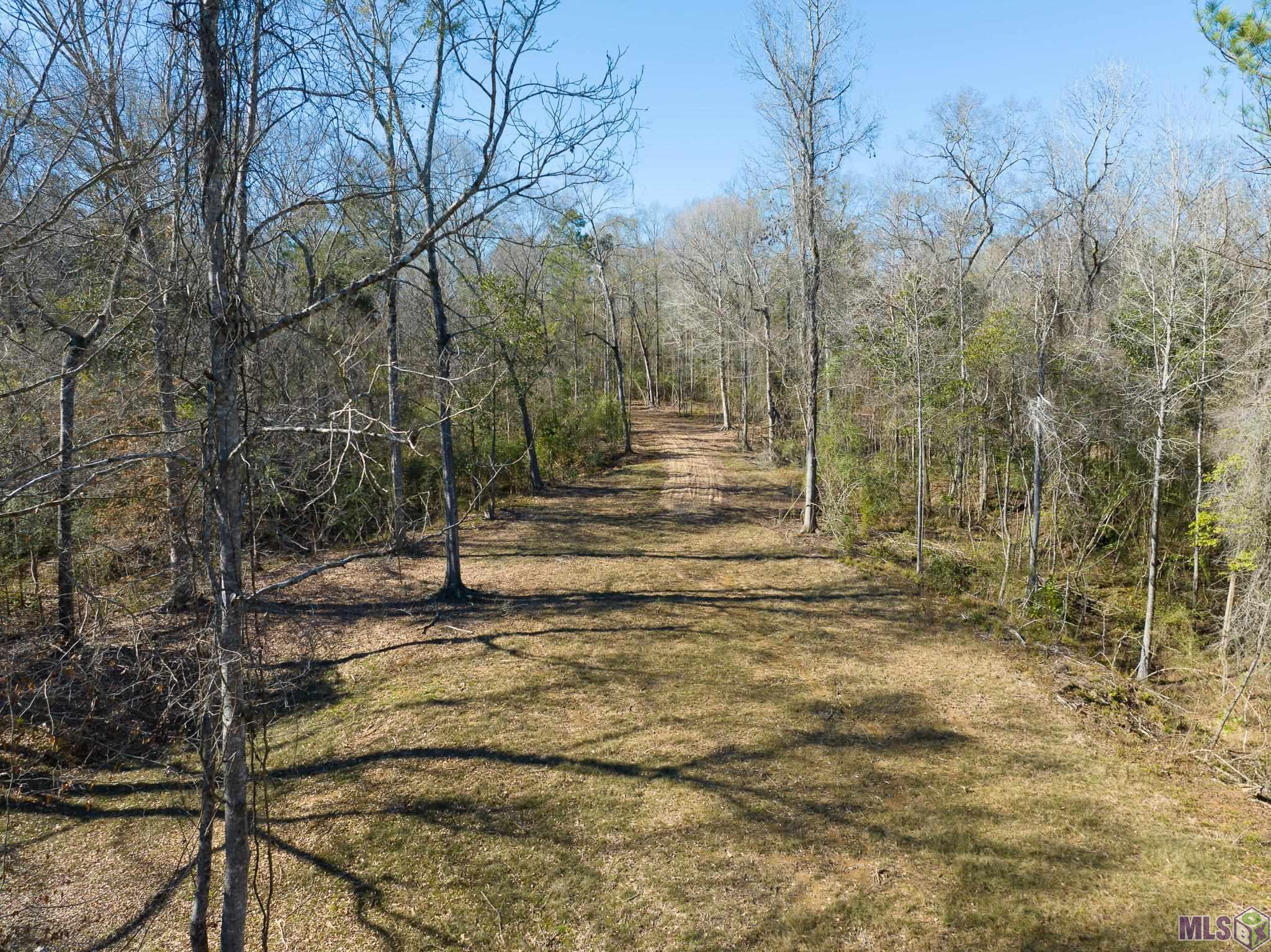 7326 Stirling Rd Street St. Francisville, LA 70775 - Photo 2 of 17