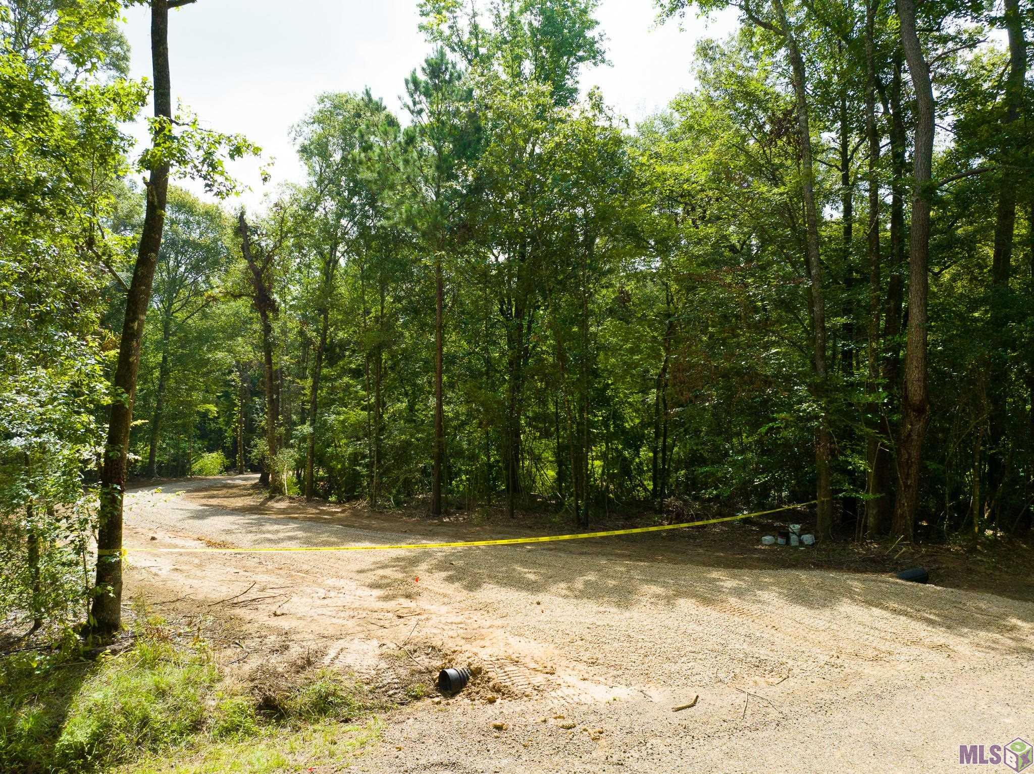 7326 Stirling Rd Street St. Francisville, LA 70775 - Photo 5 of 17