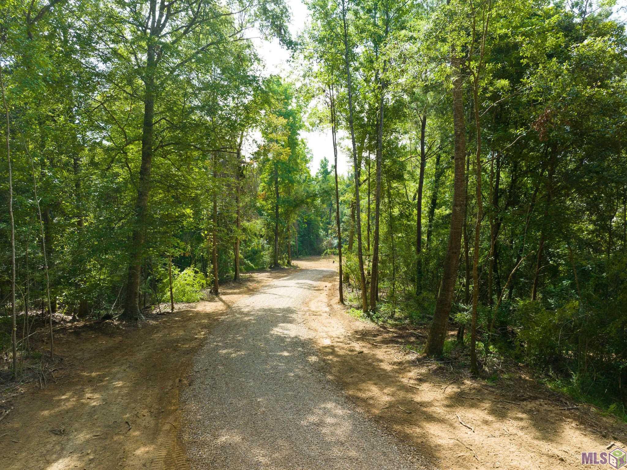 7326 Stirling Rd Street St. Francisville, LA 70775 - Photo 6 of 17