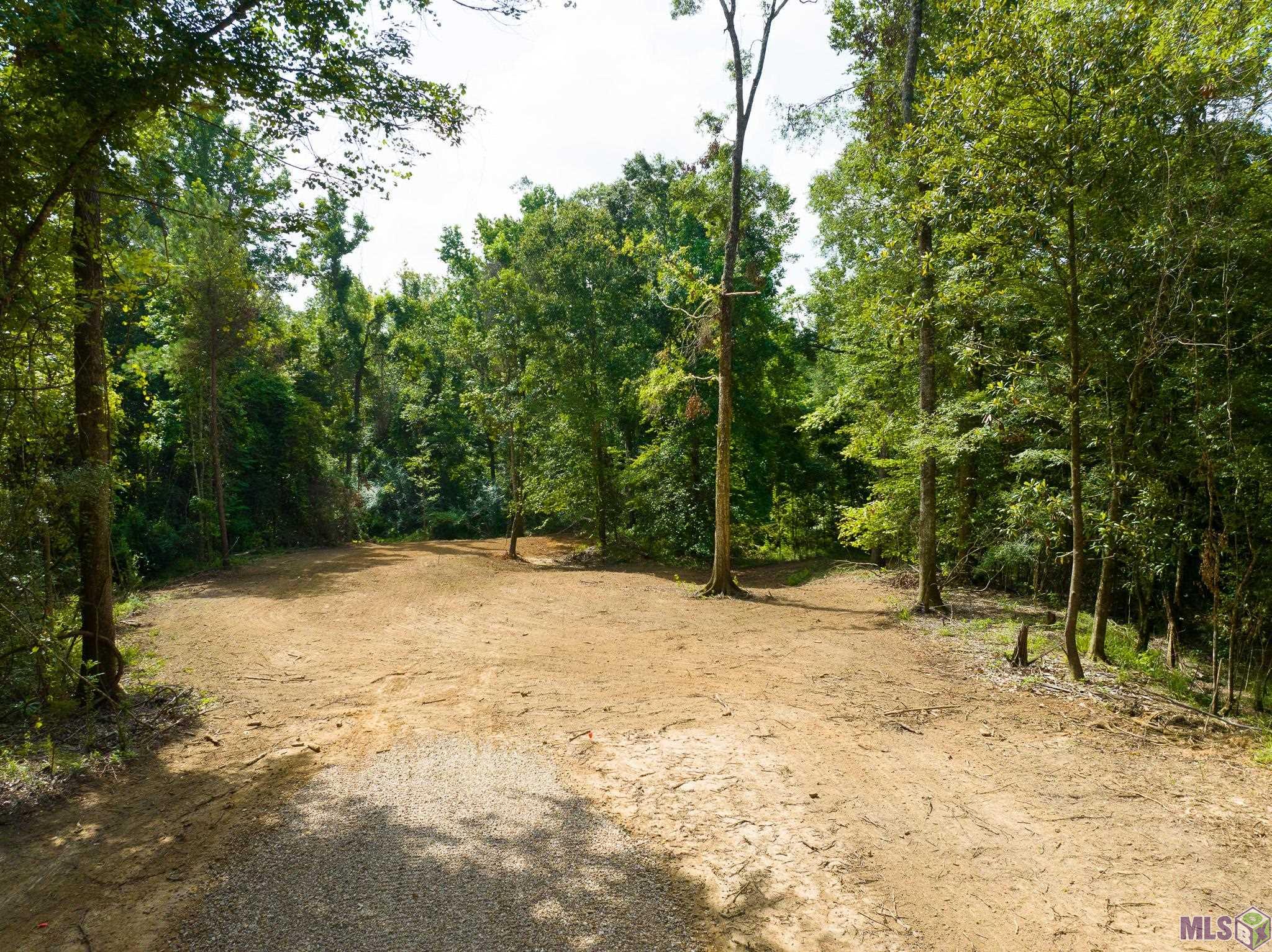 7326 Stirling Rd Street St. Francisville, LA 70775 - Photo 7 of 17