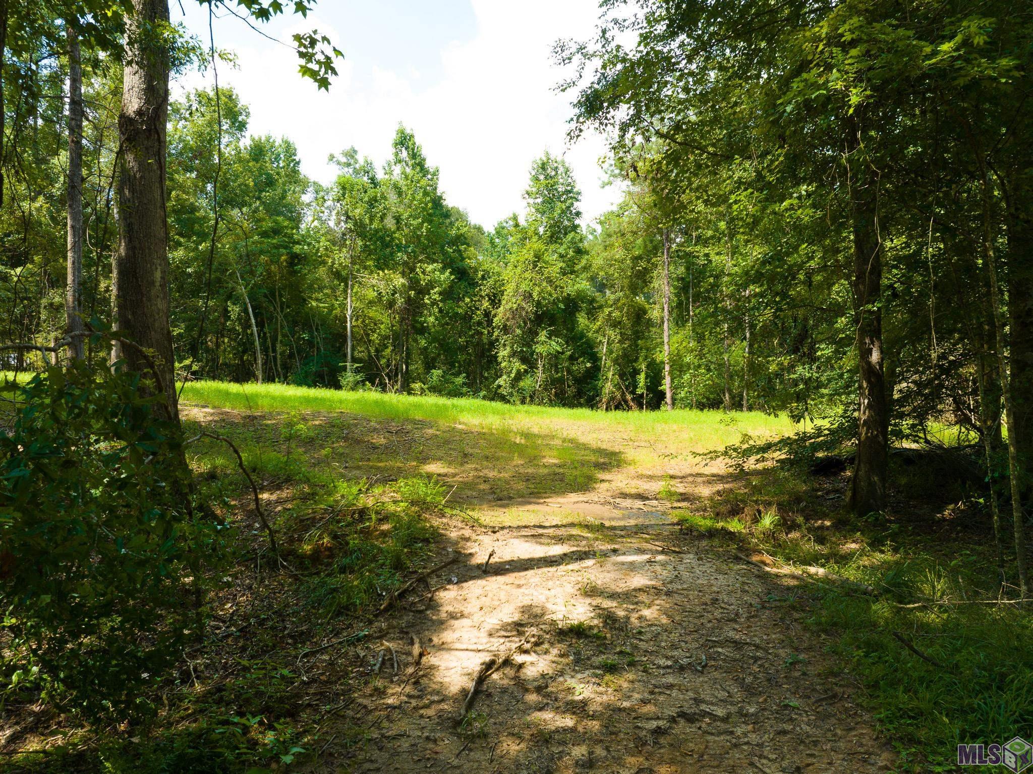 7326 Stirling Rd Street St. Francisville, LA 70775 - Photo 8 of 17