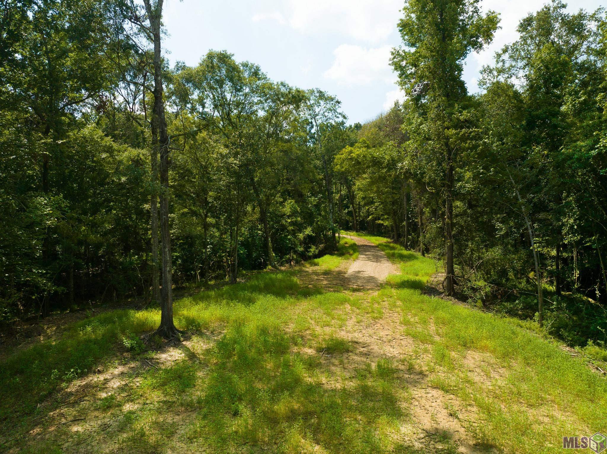 7326 Stirling Rd Street St. Francisville, LA 70775 - Photo 9 of 17