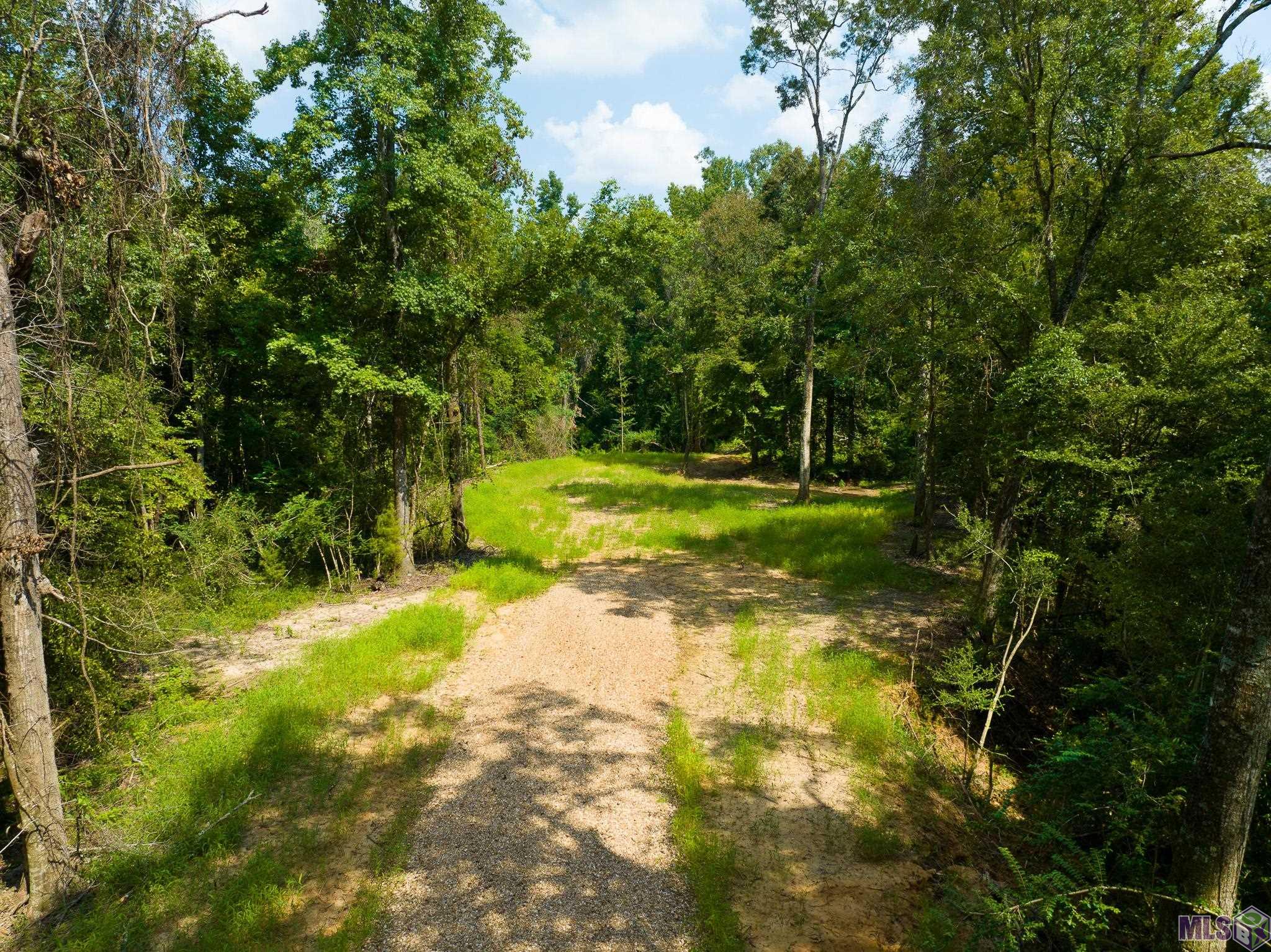 7326 Stirling Rd Street St. Francisville, LA 70775 - Photo 10 of 17