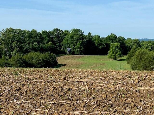 0 Mann Road Mount Olivet, KY 41064 - Photo 28 of 46