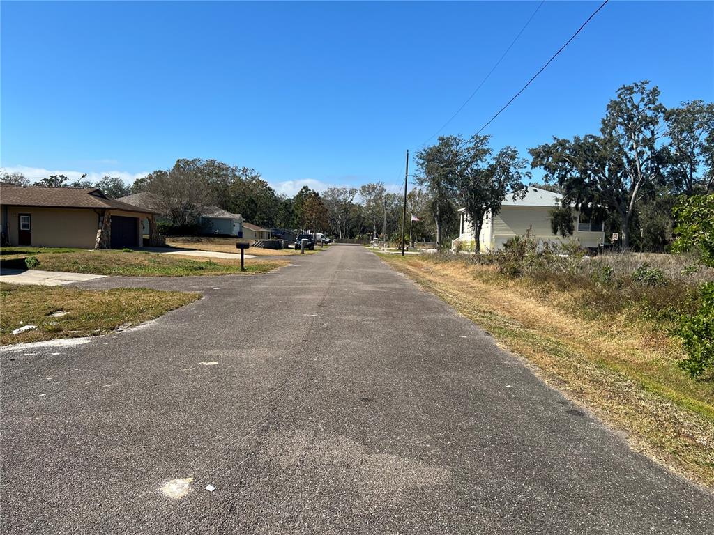 4715 Salvia Street New Port Richey, FL 34652 - Photo 4 of 8 a view of a yard with palm trees