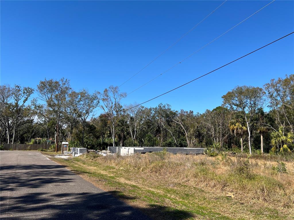 4715 Salvia Street New Port Richey, FL 34652 - Photo 6 of 8 a view of a yard with a tree
