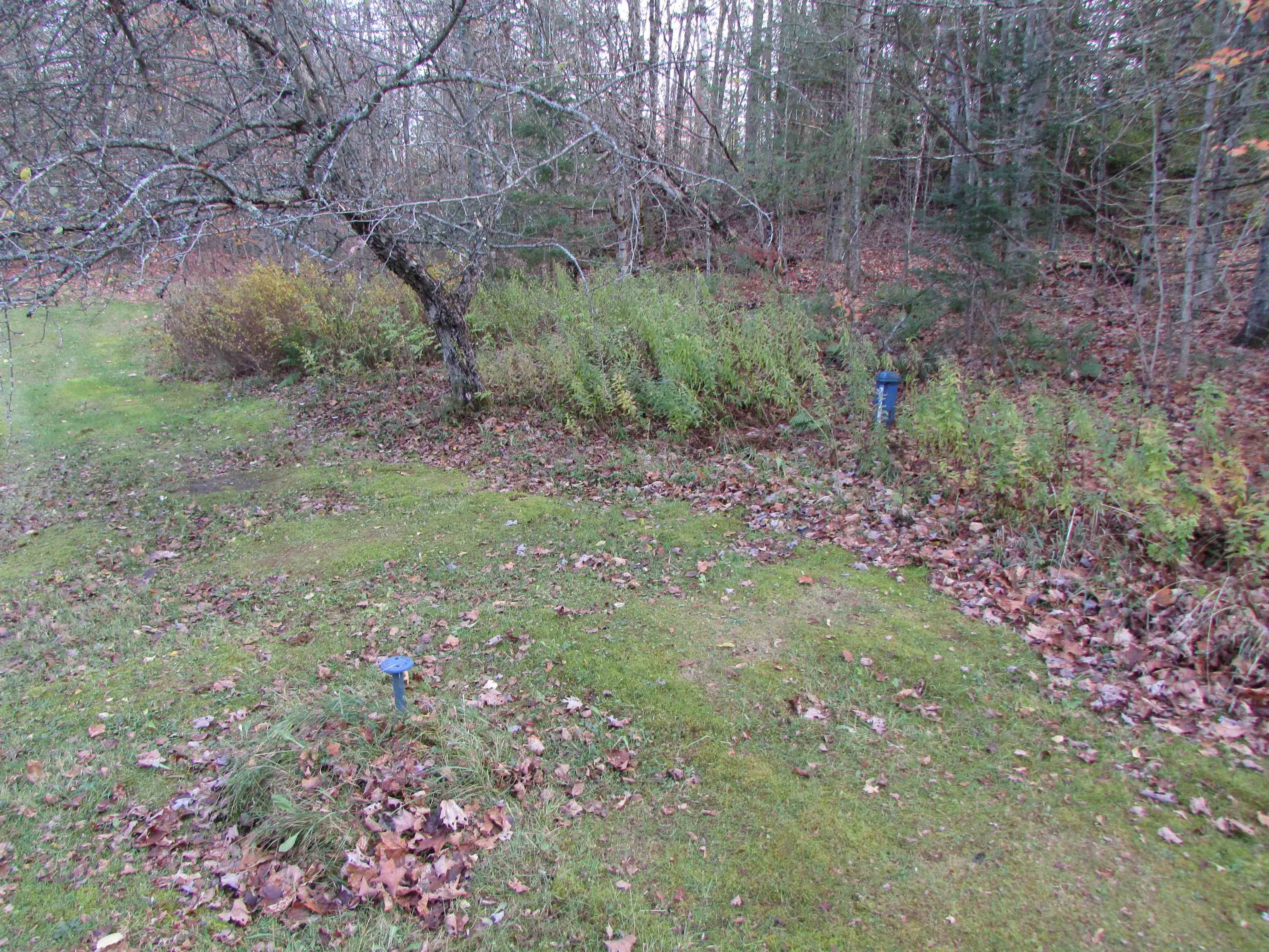 3435 Ward Hill Road Hardwick, VT 05836 - Photo 32 of 35