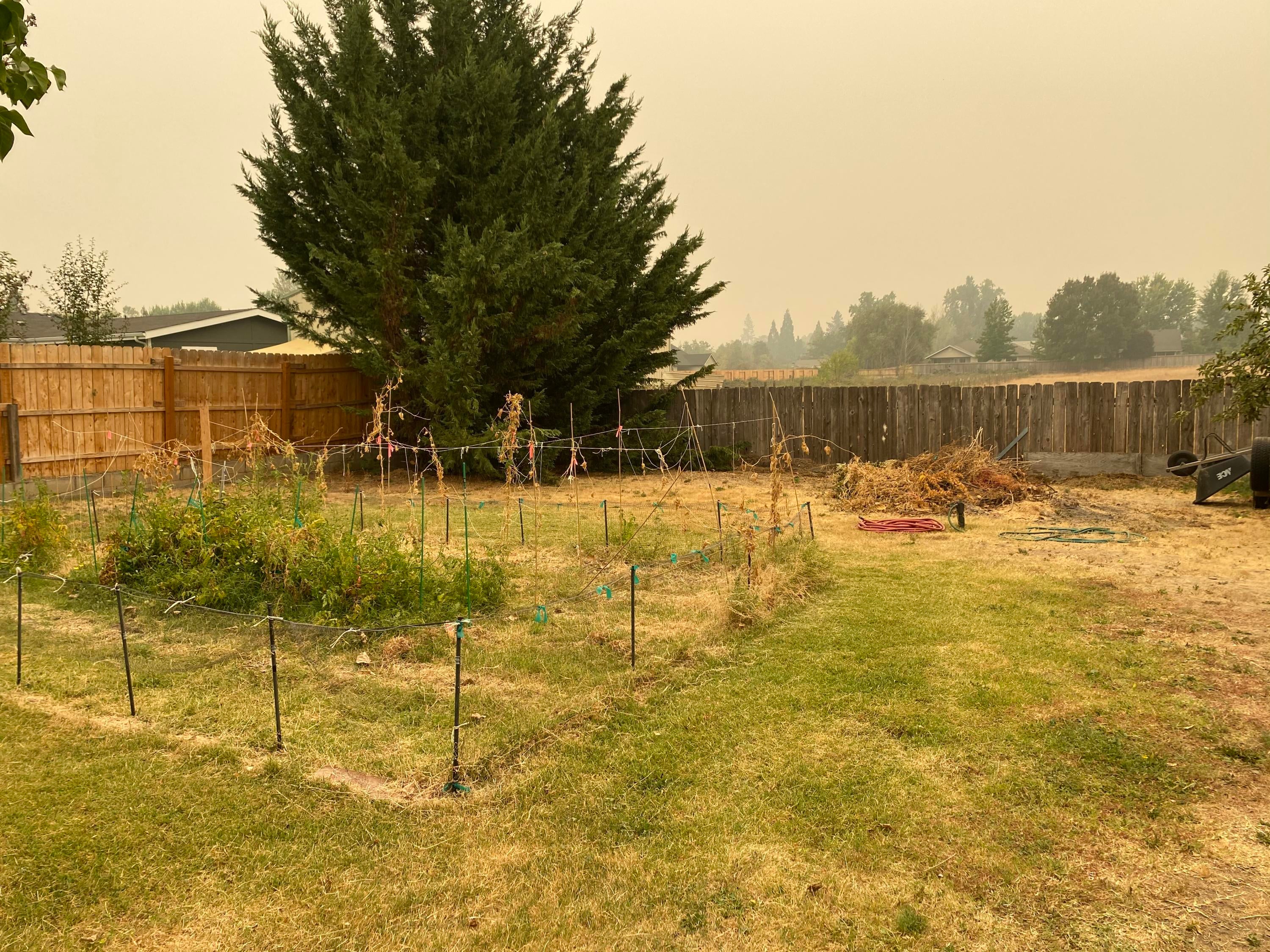 2905 Leonard Road Grants Pass, OR 97527 - Photo 14 of 18 image00015