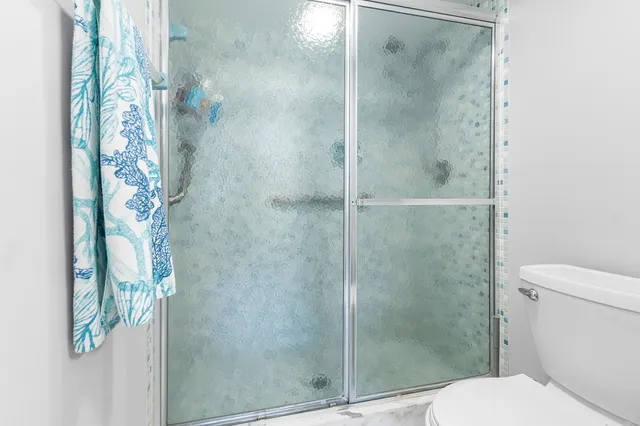 a bathroom with a shower and toilet