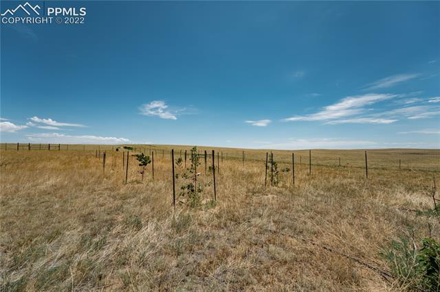 25-15-61 Edison Road Yoder, CO 80864 - Photo 12 of 33 Gallery Image 12