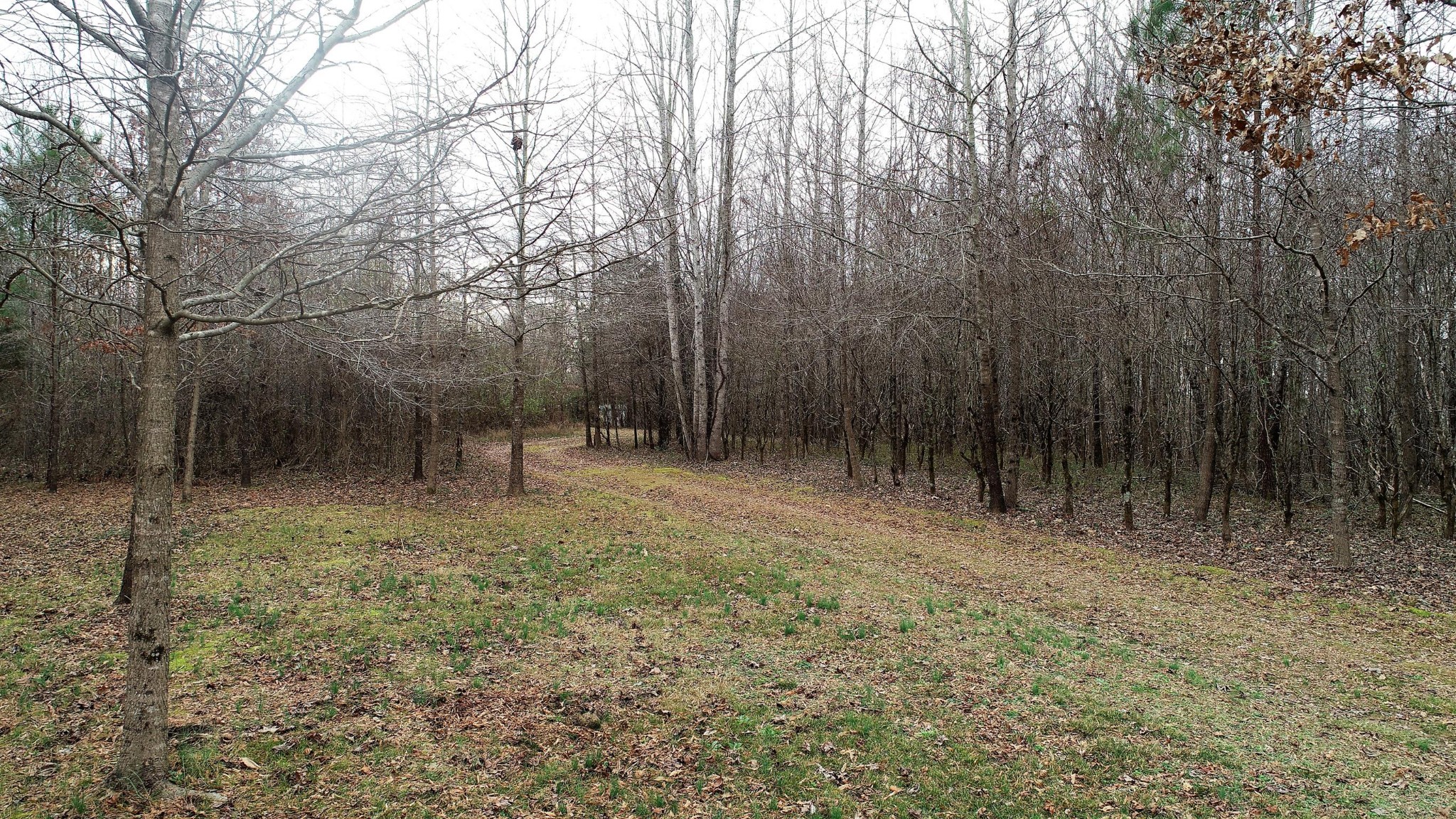 64 Riddle Road Winchester, TN 37398 - Photo 11 of 33 Gallery Image 11