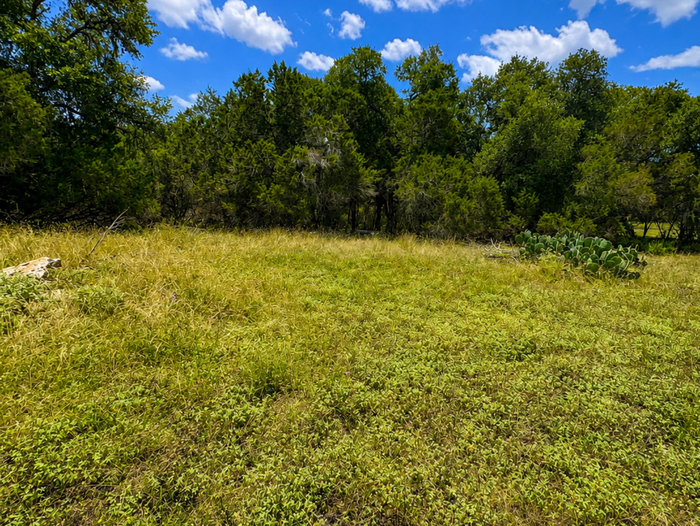 6718 Spring Branch Road Spring Branch, TX 78070 - Photo 5 of 6