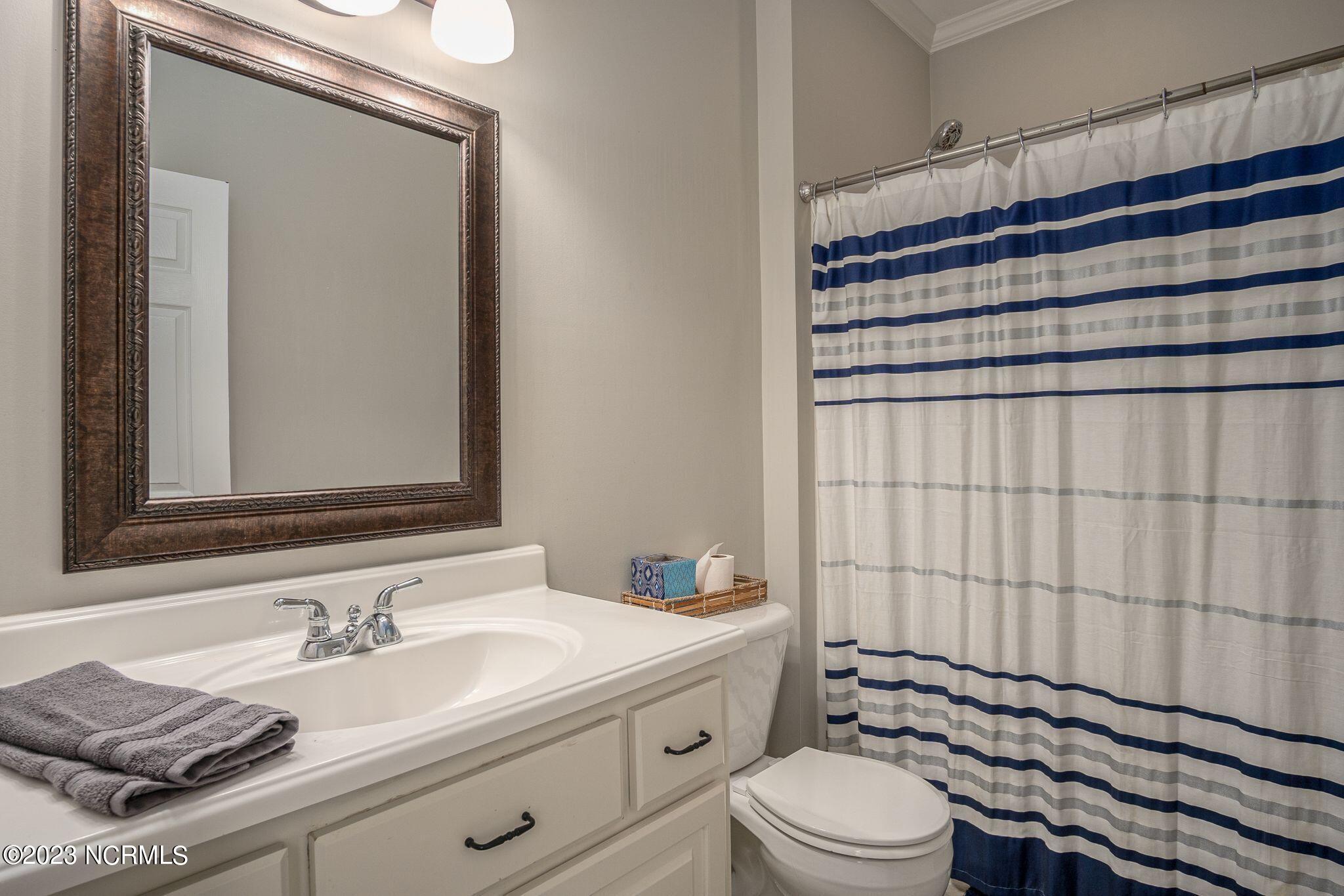 3640 Sandy Ridge Farm Road La Grange, NC 28551 - Photo 45 of 72 Third Bathroom