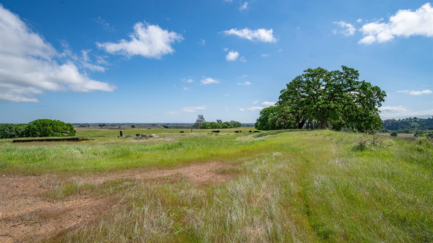 30247 Pleasant View Road Winters, CA 95694 - Photo 13 of 54 a view of a green field