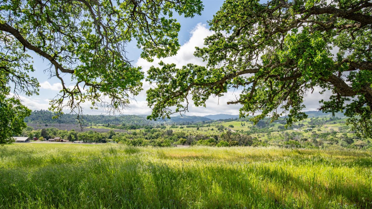30247 Pleasant View Road Winters, CA 95694 - Photo 16 of 54 a view of yard with green space