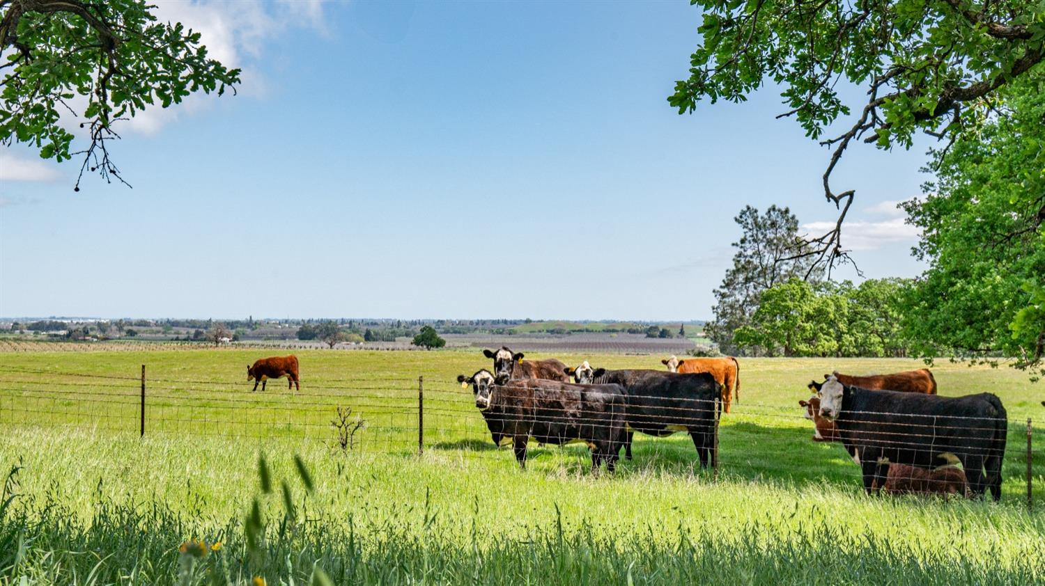30247 Pleasant View Road Winters, CA 95694 - Photo 18 of 54 a view of a swimming pool with lounge chair