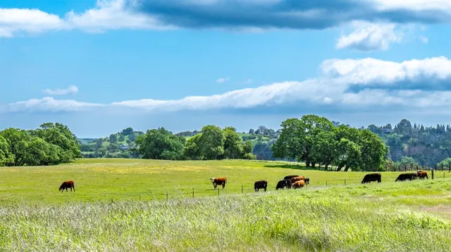 a view of a swimming pool with a yard