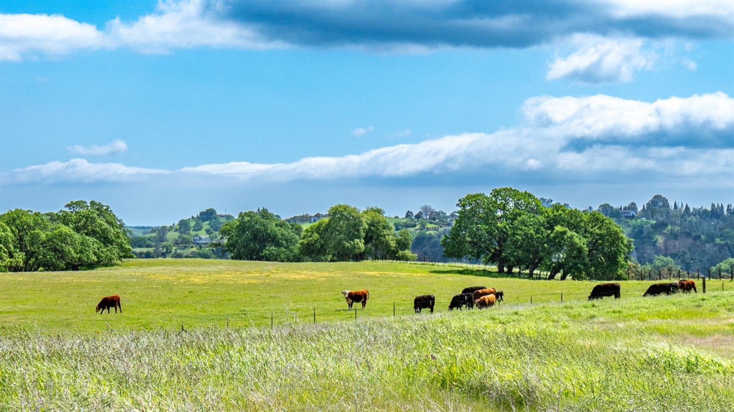 30247 Pleasant View Road Winters, CA 95694 - Photo 19 of 54 a view of a swimming pool with a yard