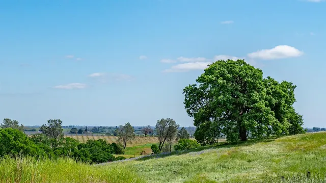 a view of a lake with outdoor space