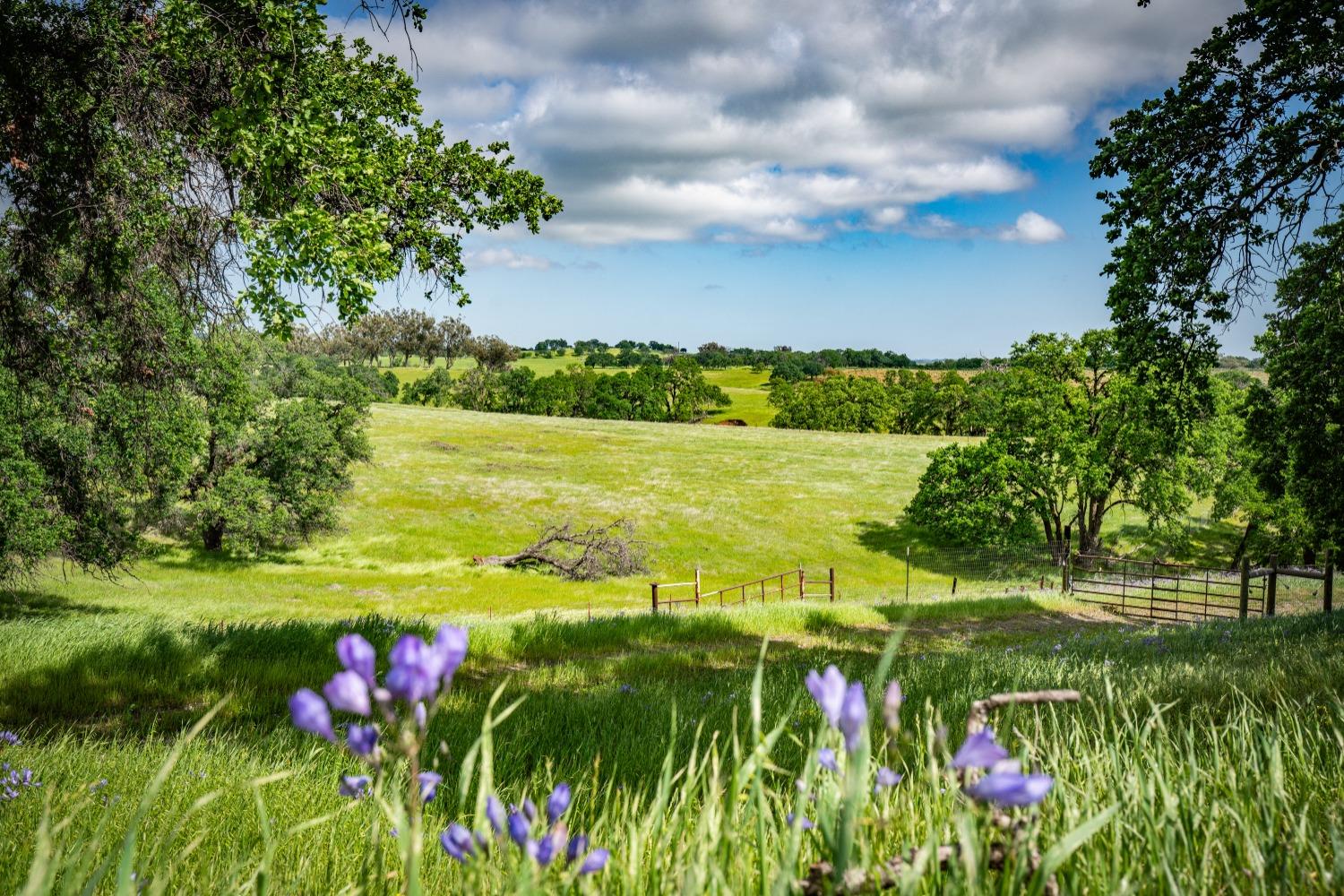 30247 Pleasant View Road Winters, CA 95694 - Photo 28 of 54 a view of an outdoor space and a yard