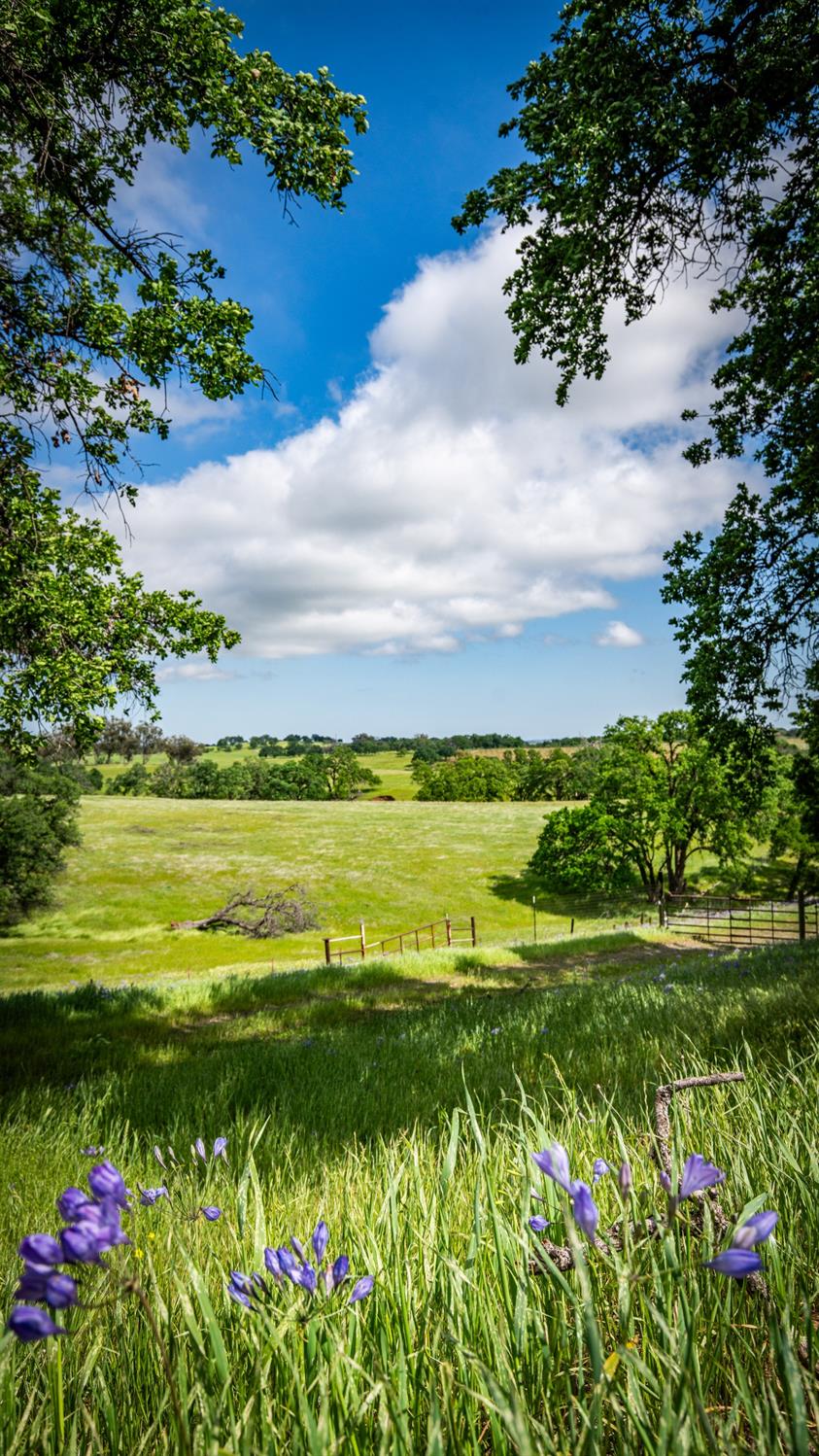 30247 Pleasant View Road Winters, CA 95694 - Photo 29 of 54 a view of a lake with a house in the background