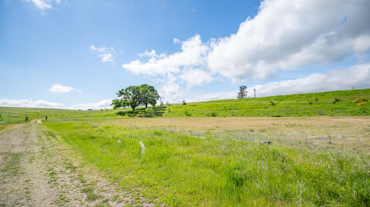 30247 Pleasant View Road Winters, CA 95694 - Photo 33 of 54 a view of a golf course with a garden