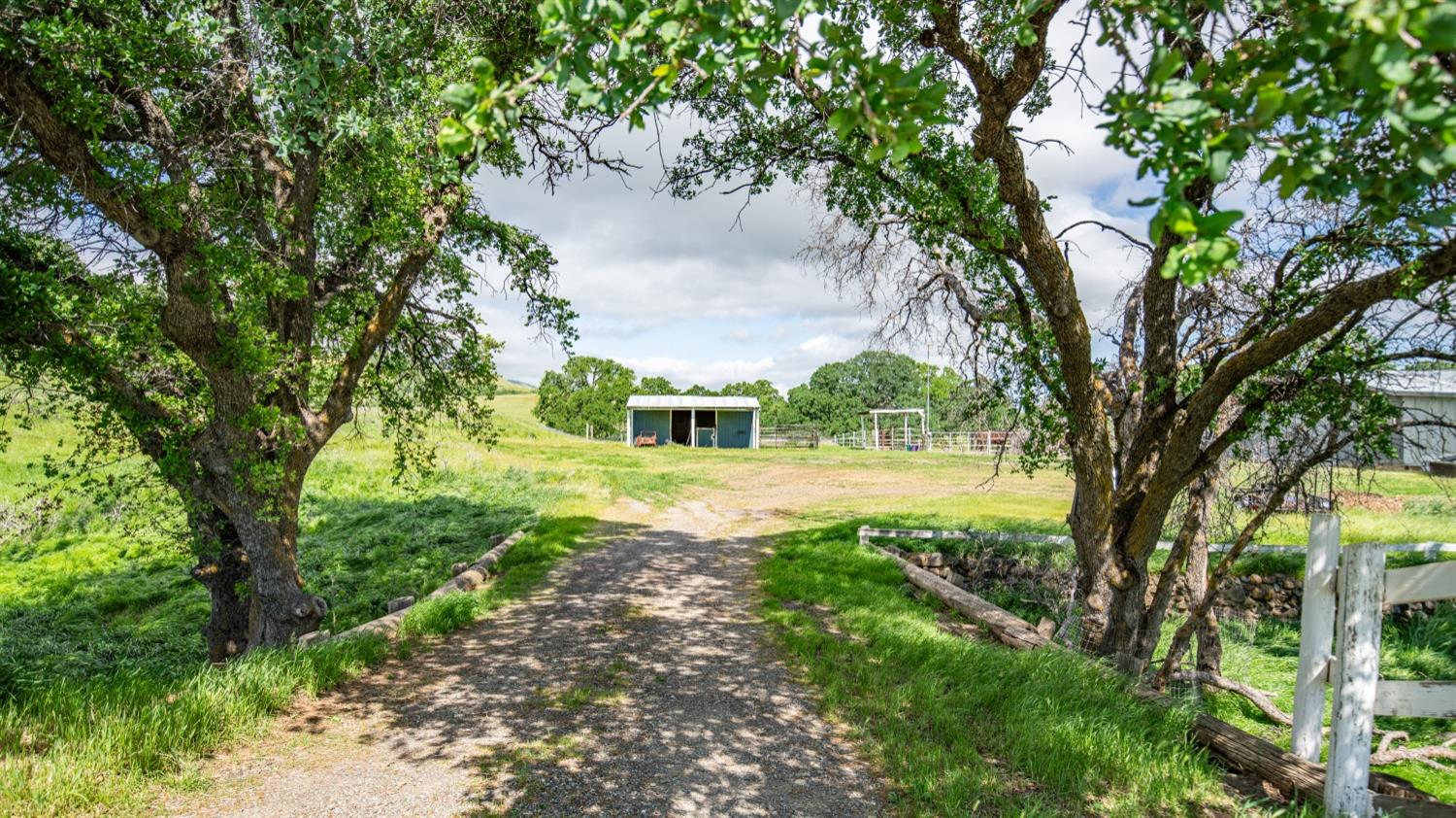 30247 Pleasant View Road Winters, CA 95694 - Photo 35 of 54 a view of backyard with green space