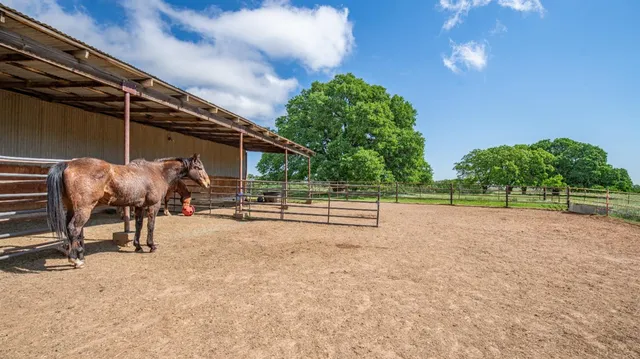 a view of a swimming pool