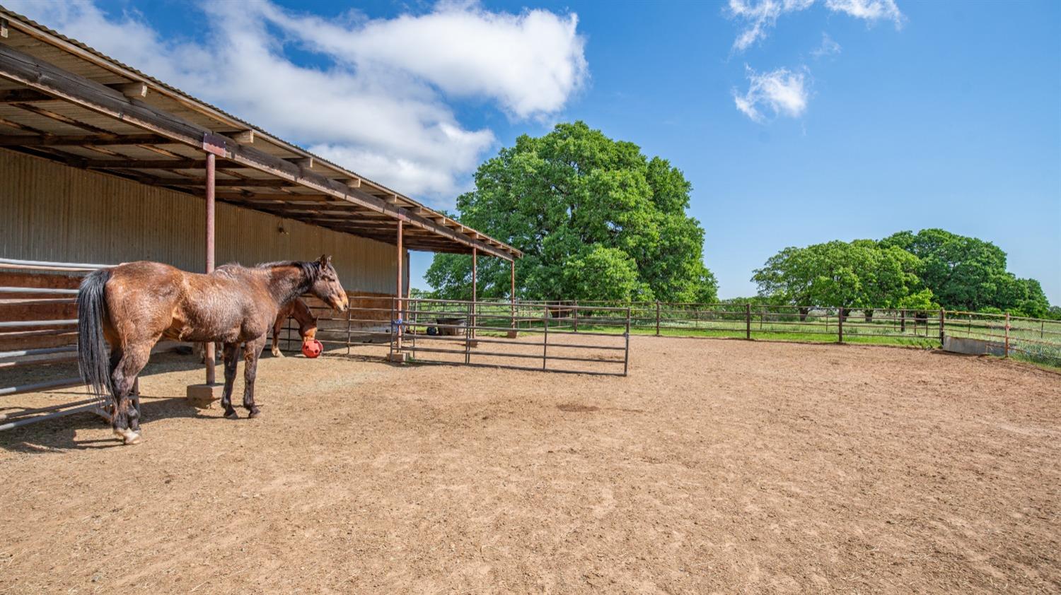 30247 Pleasant View Road Winters, CA 95694 - Photo 42 of 54