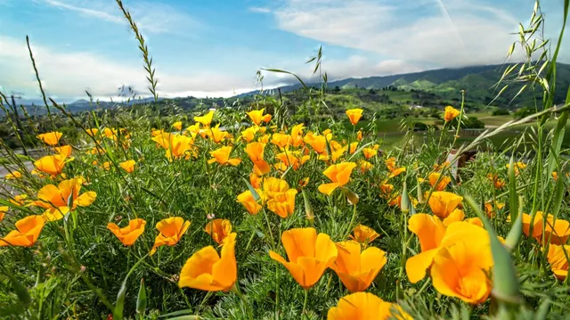 a view of an outdoor space