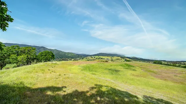 a view of an ocean from a yard