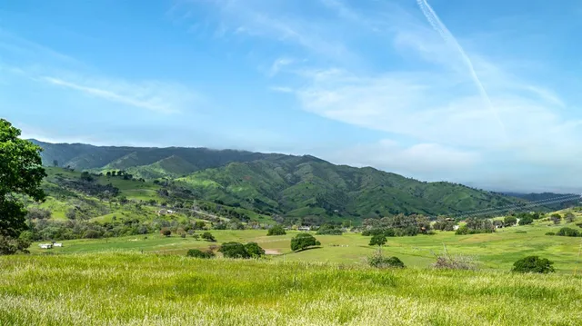 a view of a lush green outdoor space with a lake view