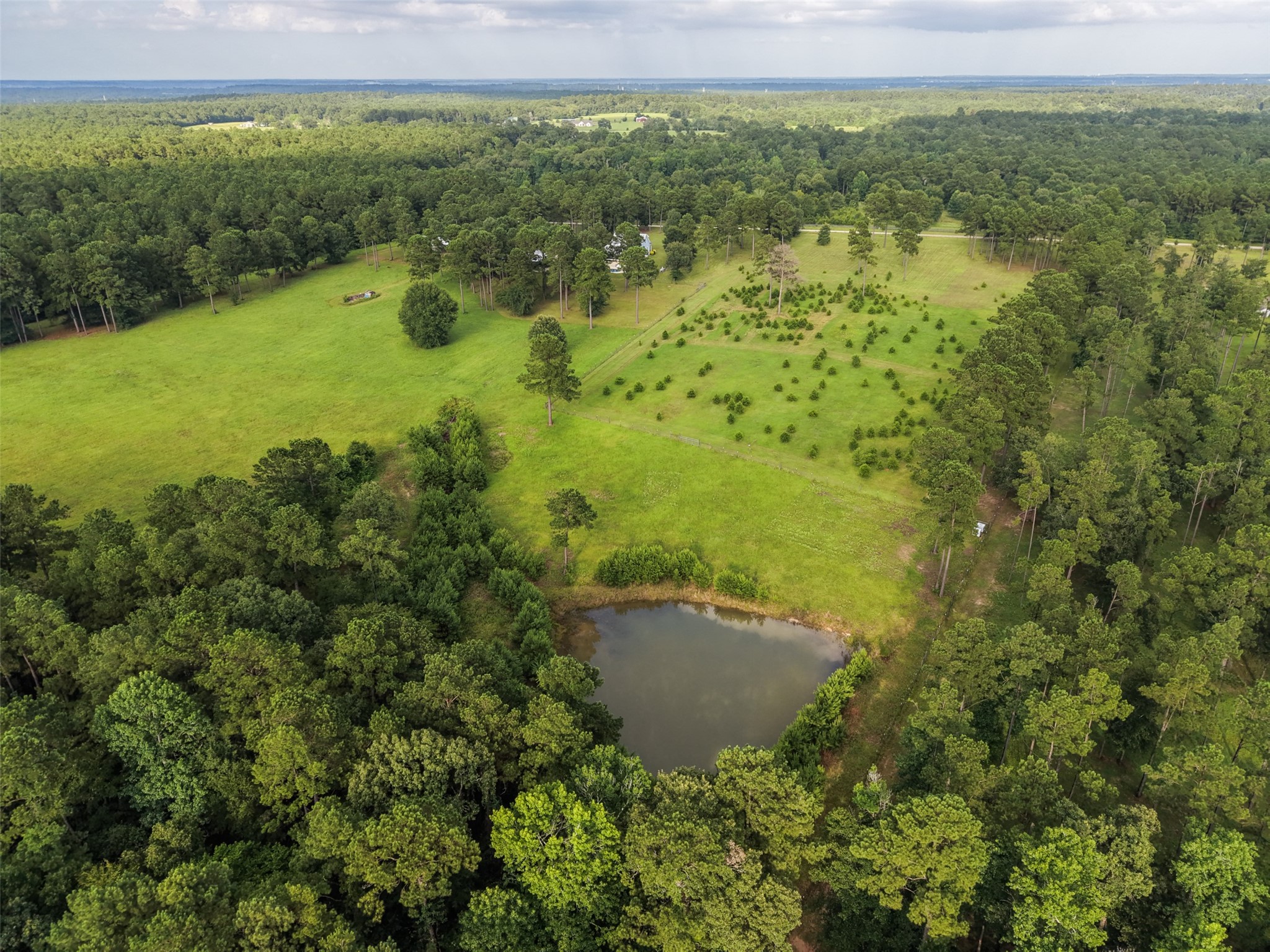 5345 Deep Forest Trail Navasota, TX 77868 - Photo 44 of 46