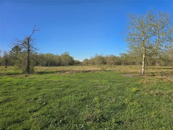 $550,000 | 0 County Road 63, Salt Lake City, TX 84101
