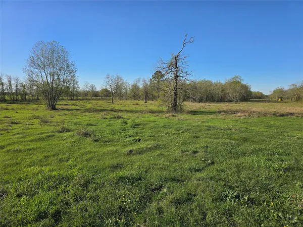 $550,000 | 0 County Road 63, Salt Lake City, TX 84101