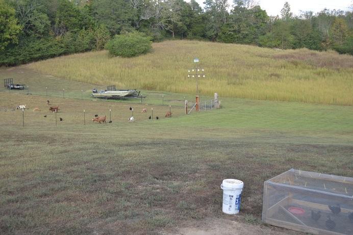 3865 Cottonport Road Dayton, TN 37321 - Photo 36 of 41 C37