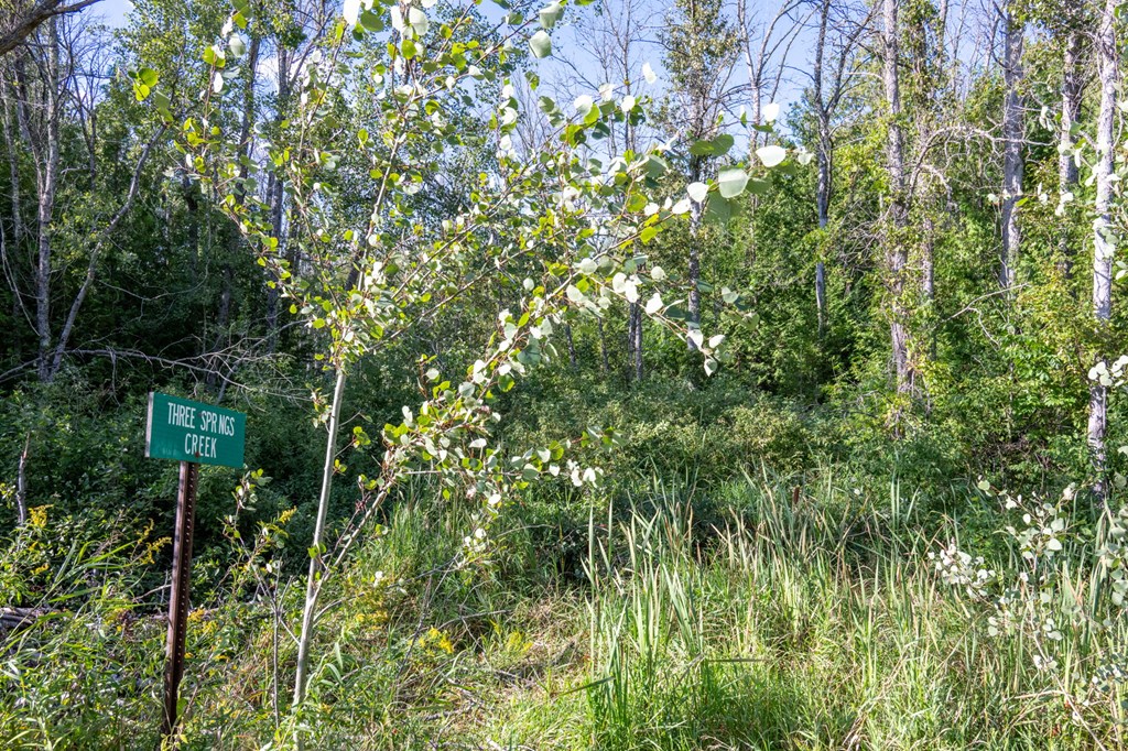Tbd Tbd County Road Sister Bay, WI 54234 - Photo 3 of 32