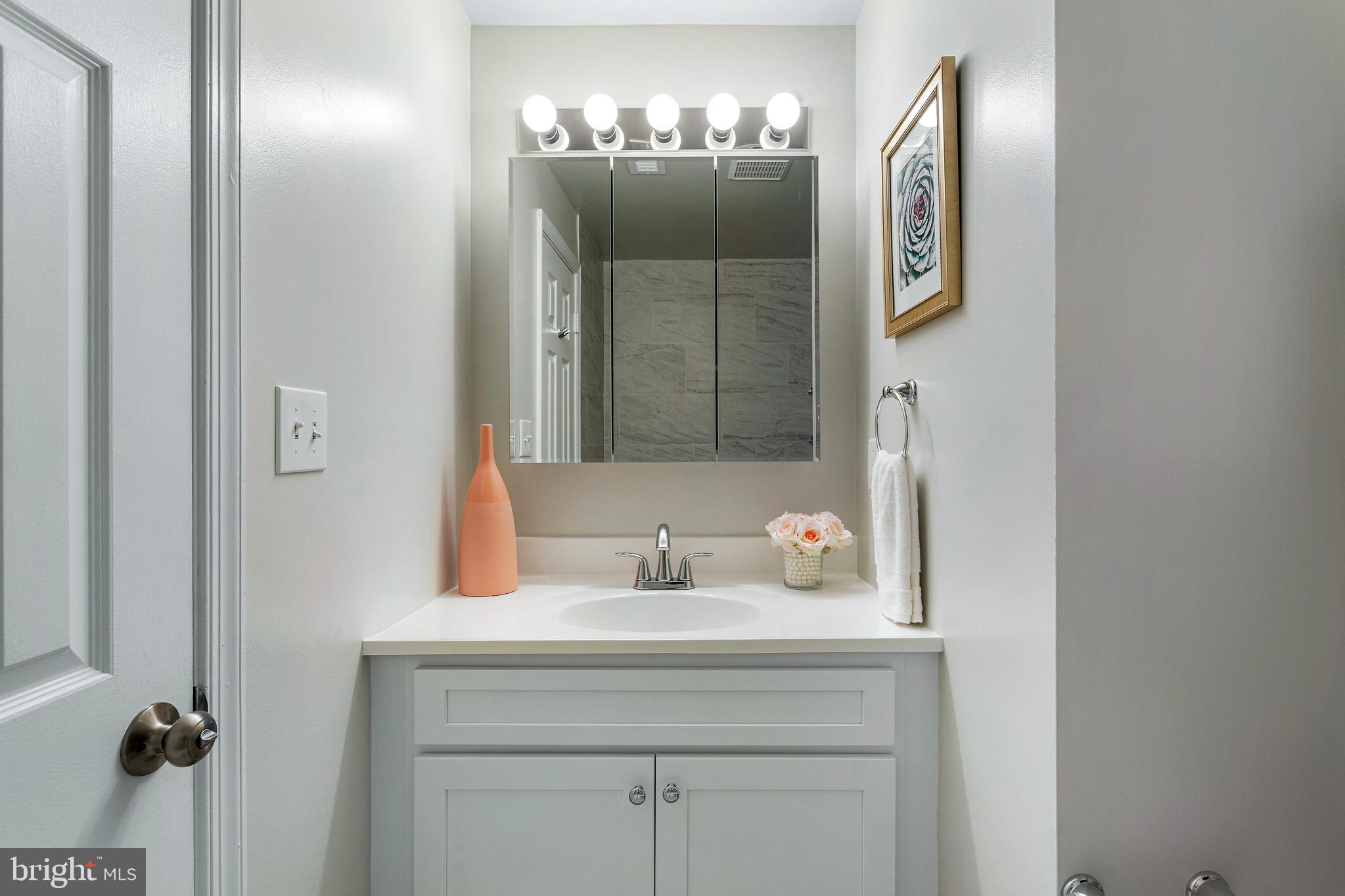 1621 T Street Northwest, Unit 305 Washington, DC 20009 - Photo 26 of 33 a bathroom with a sink and a mirror