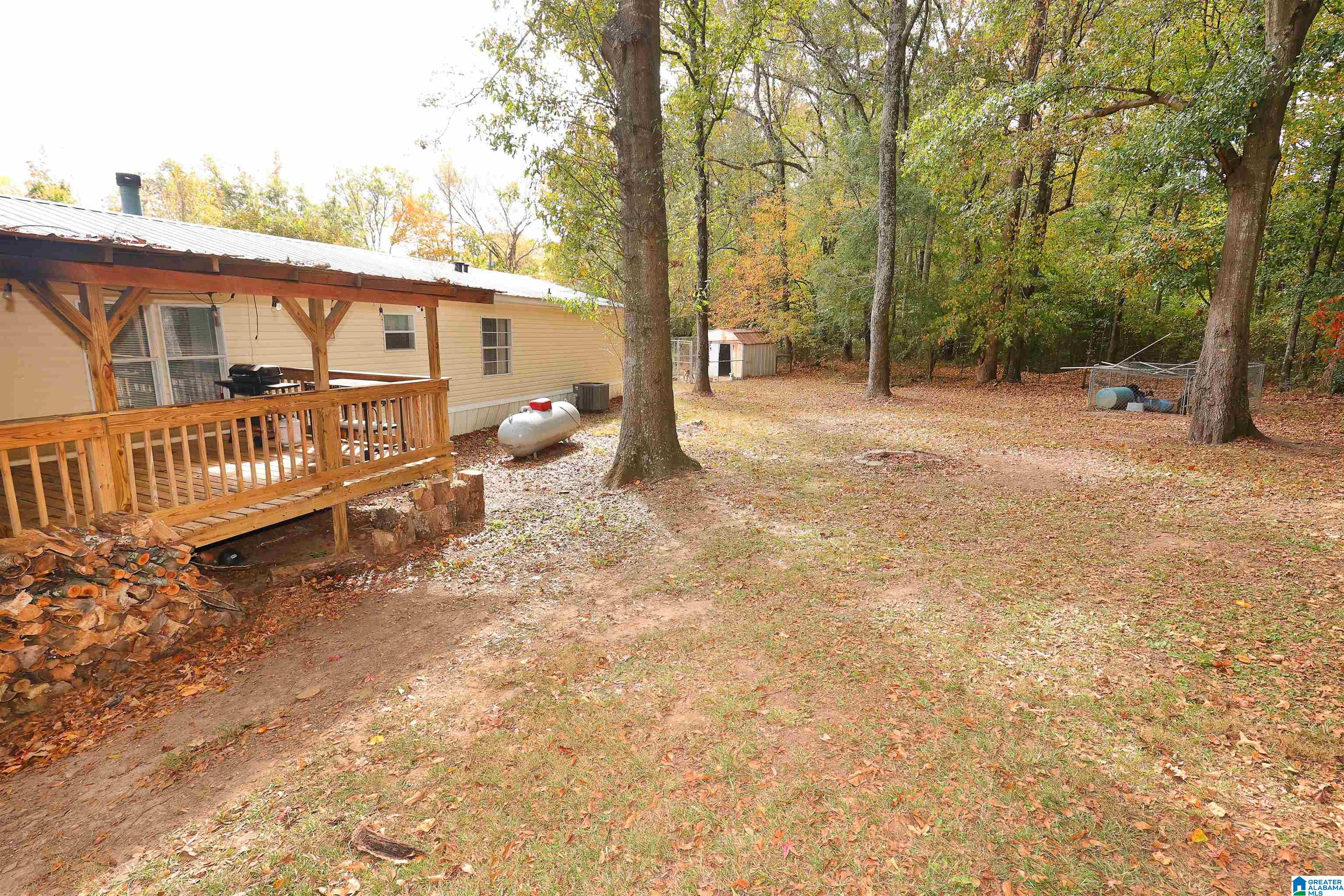 65 Cameron Road Piedmont, AL 36272 - Photo 5 of 26