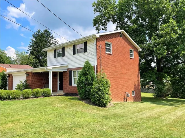 a view of a backyard with potted plants and large tree
