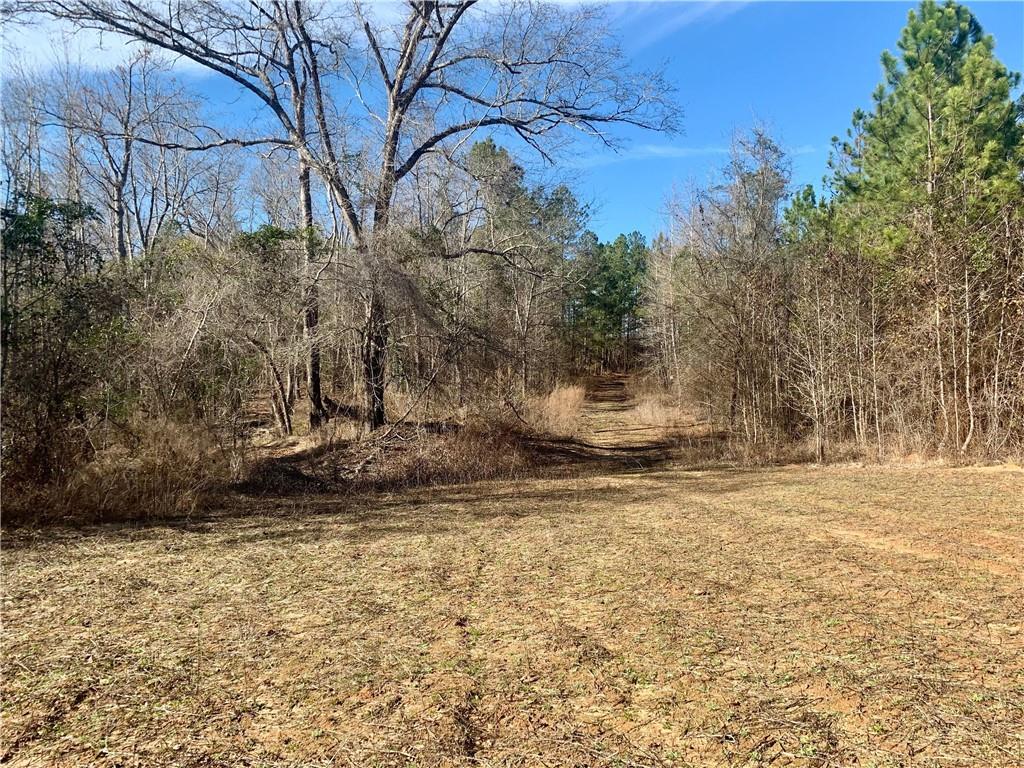 0 T L Bray Road Tennille, GA 31089 - Photo 1 of 1 Gallery Image 1