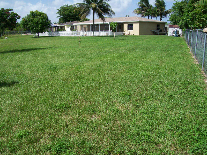 22371 Boulder Street Boca Raton, FL 33428 - Photo 18 of 18 Yard2