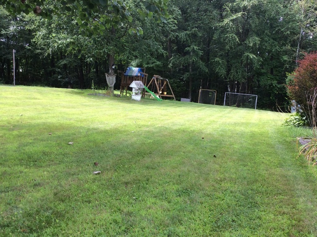 51 Allen Road Billerica, MA 01821 - Photo 17 of 24 a view of a tree in a yard