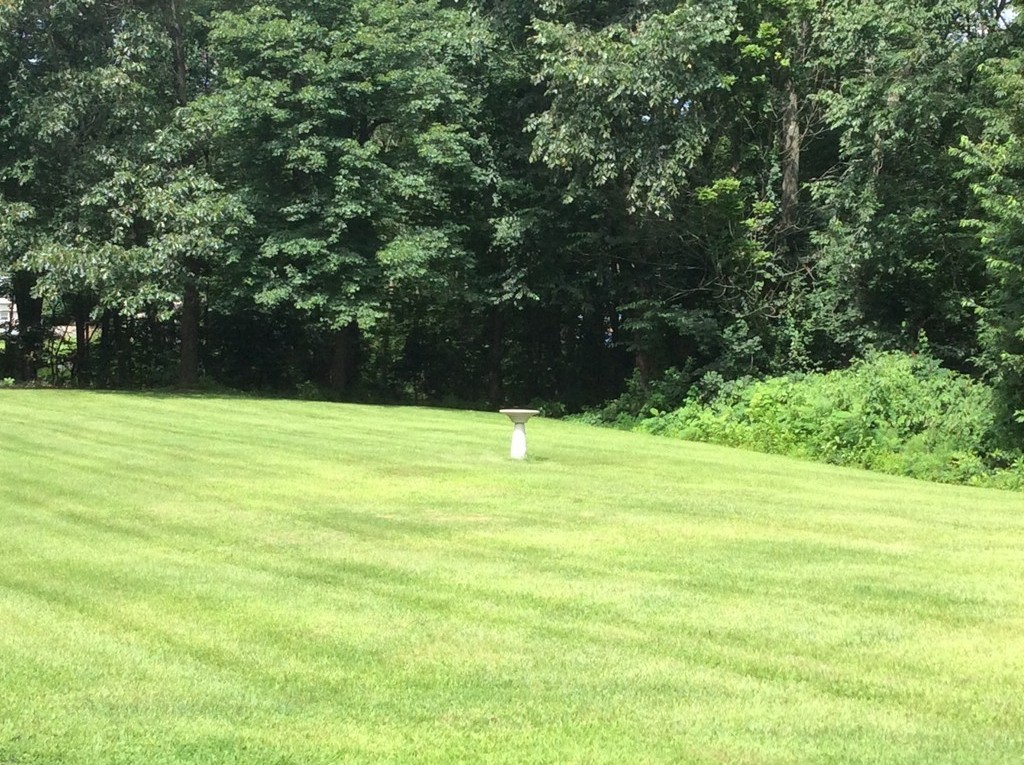 51 Allen Road Billerica, MA 01821 - Photo 23 of 24 a view of an outdoor space and a yard