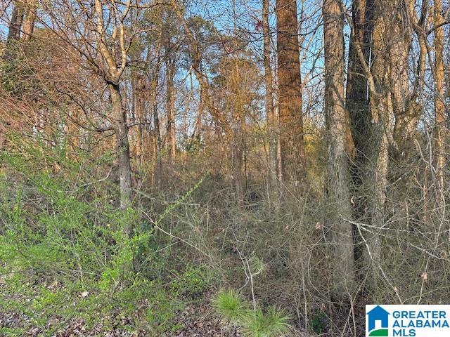 9 North Airport Road, Unit 7 Jasper, AL 35501 - Photo 2 of 4
