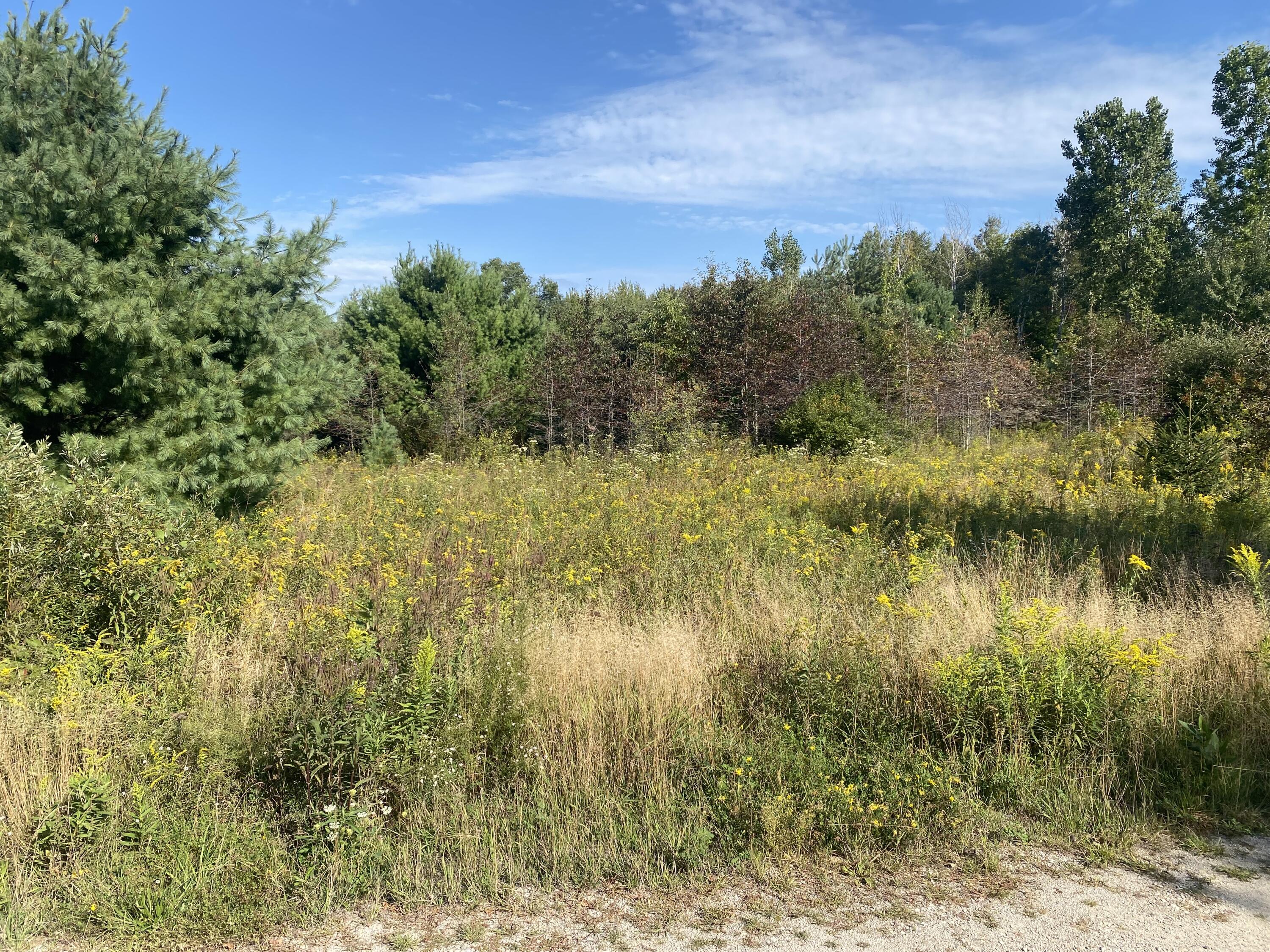 6325 Maple Island Road Fruitport, MI 49415 - Photo 8 of 14 IMG_0028