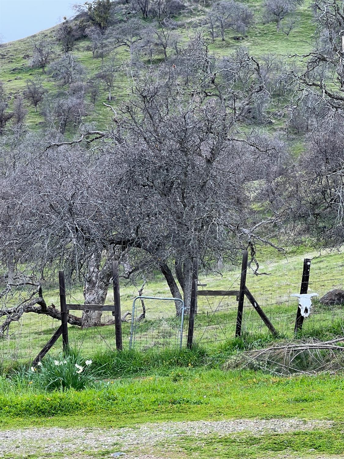 30284 Bear Mountain Road Squaw Valley, CA 93675 - Photo 48 of 62