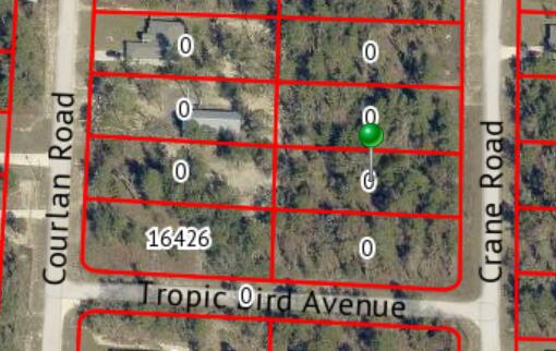 0 Crane Road Brooksville, FL 34614 - Photo 1 of 1 LOT CRANE RD - CALVILLO