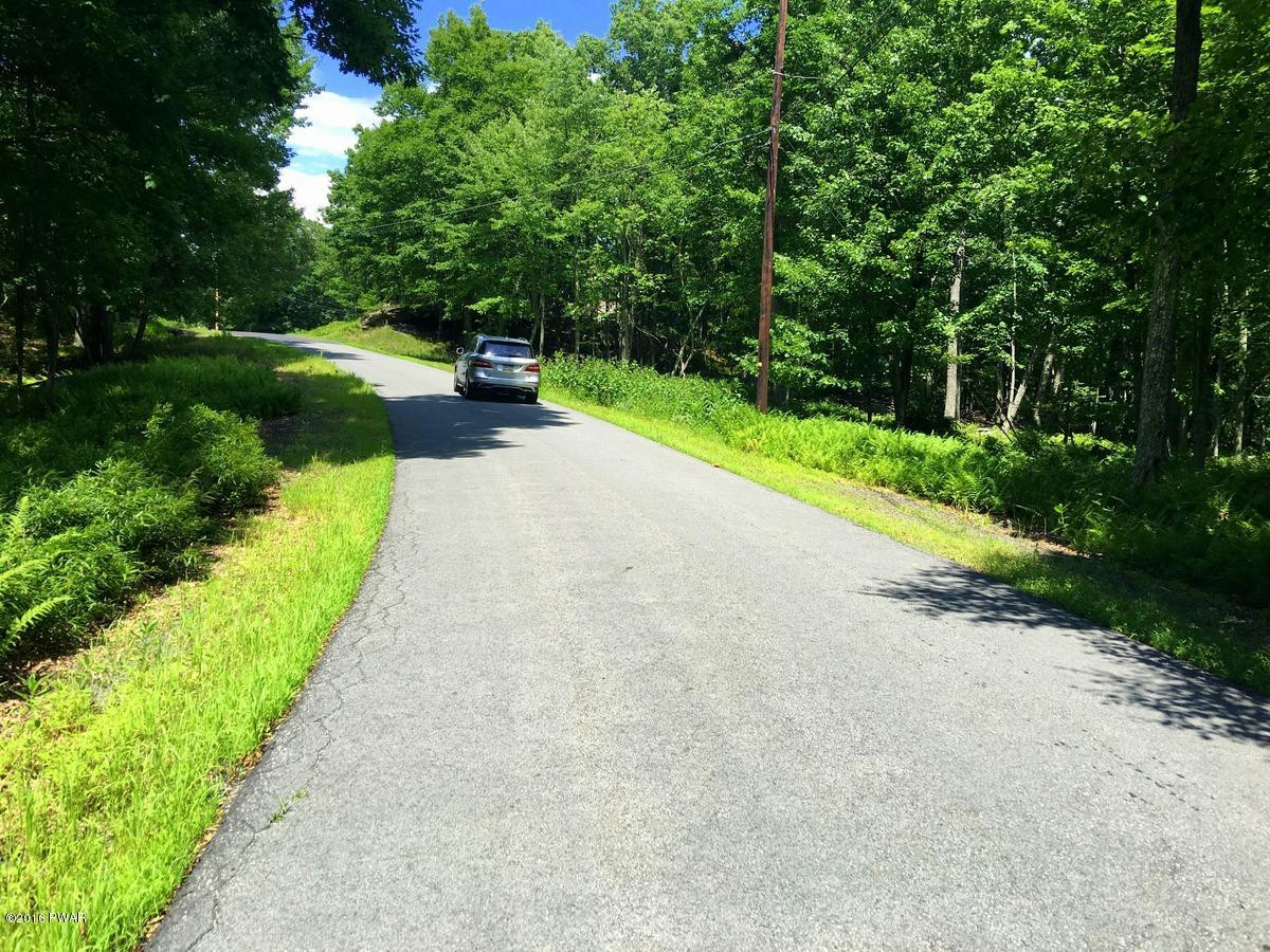 Lot 1127 Perch Road Lackawaxen, PA 18435 - Photo 7 of 8